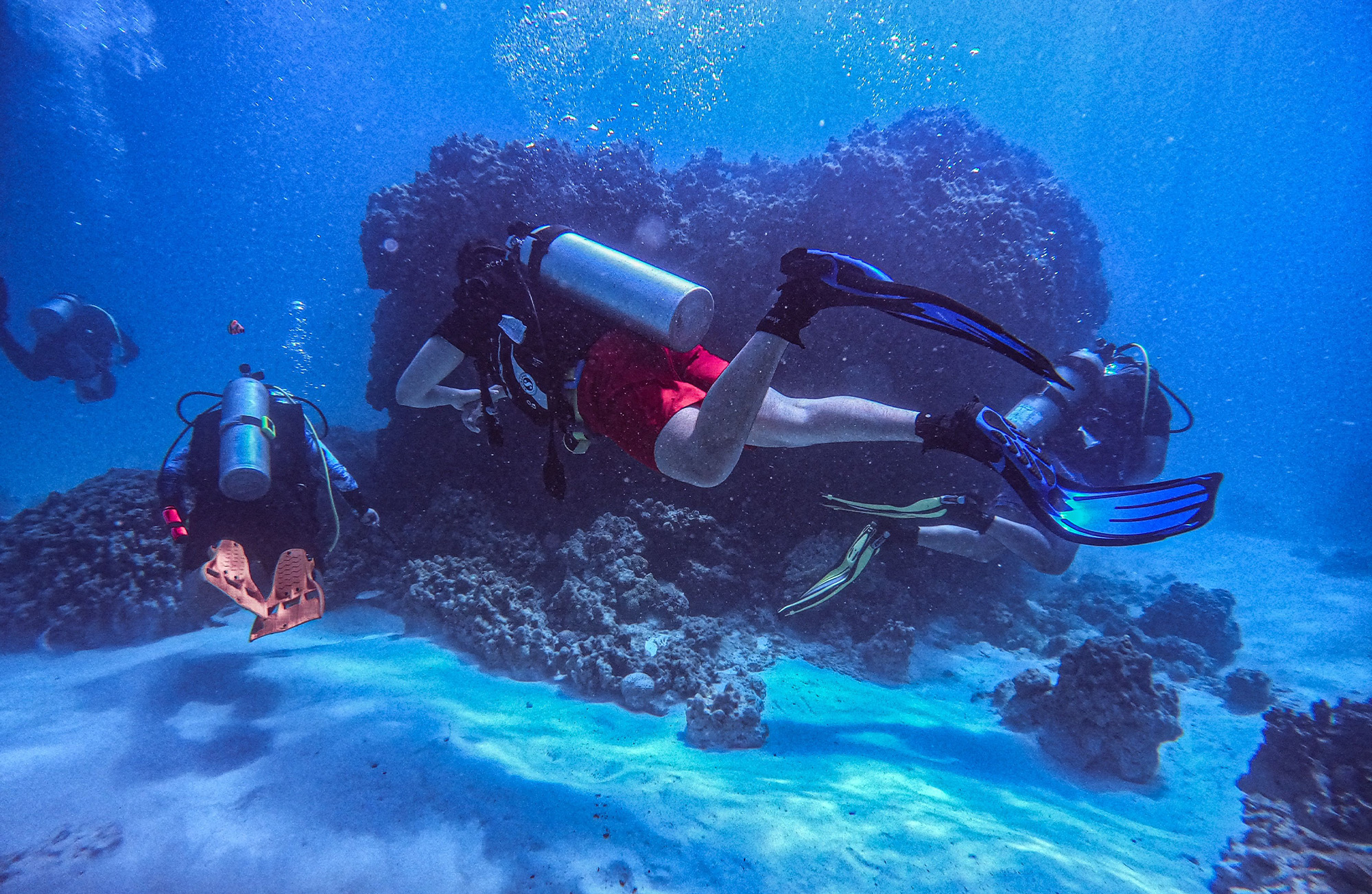 Underwater World